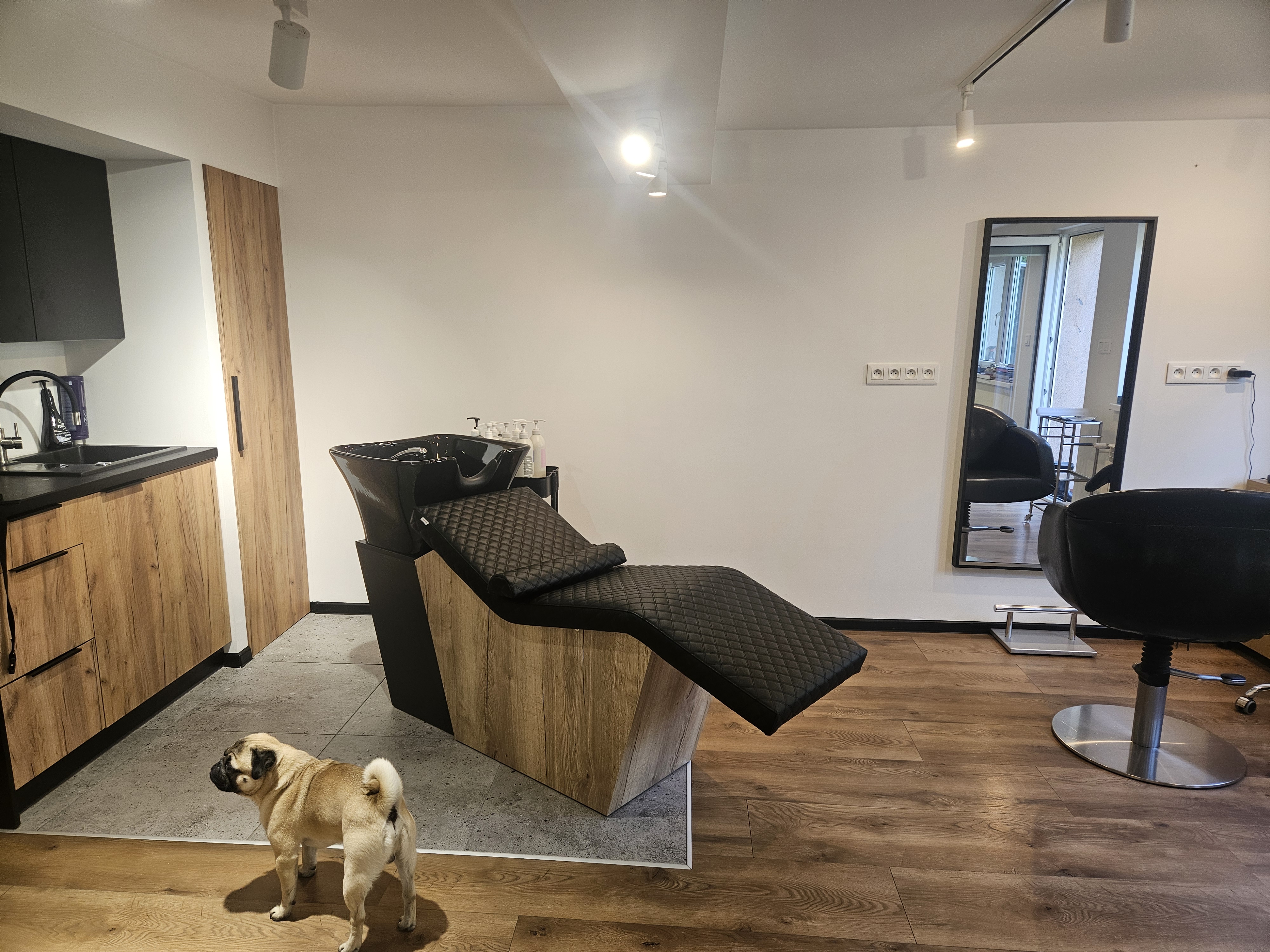 salon1
